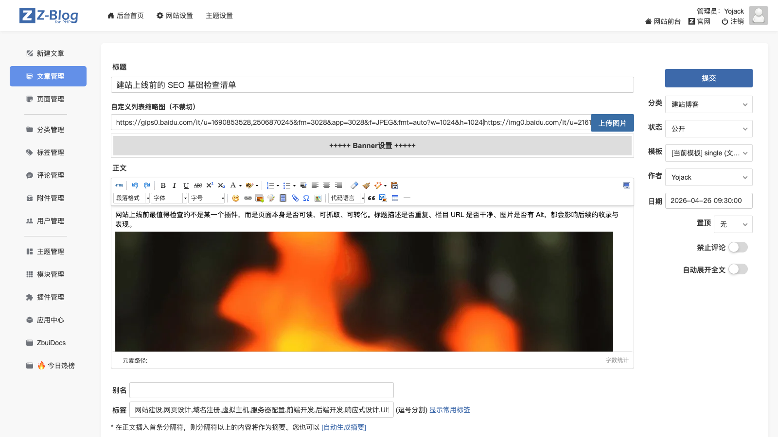 Metas、自定义字段和后台扩展怎么做？别把全局配置和文章字段混了 配图